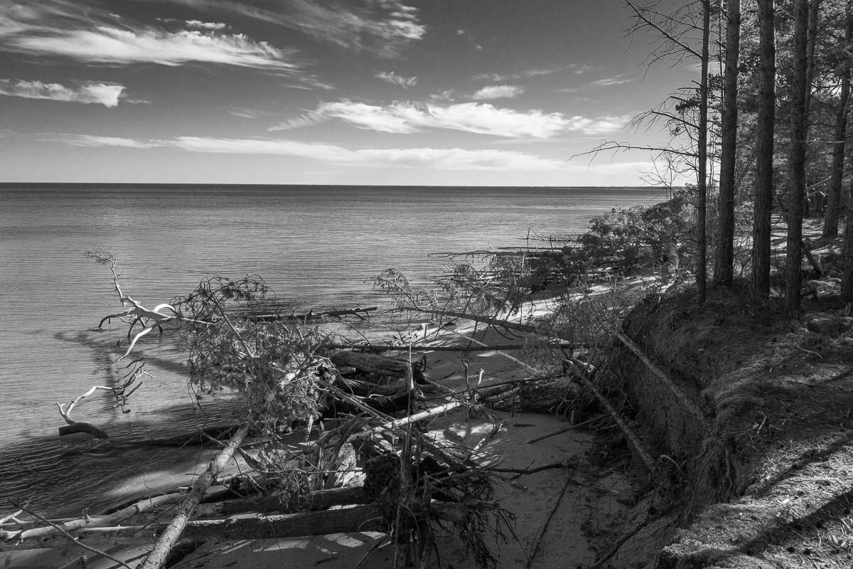 *** - Геннадий Порохов