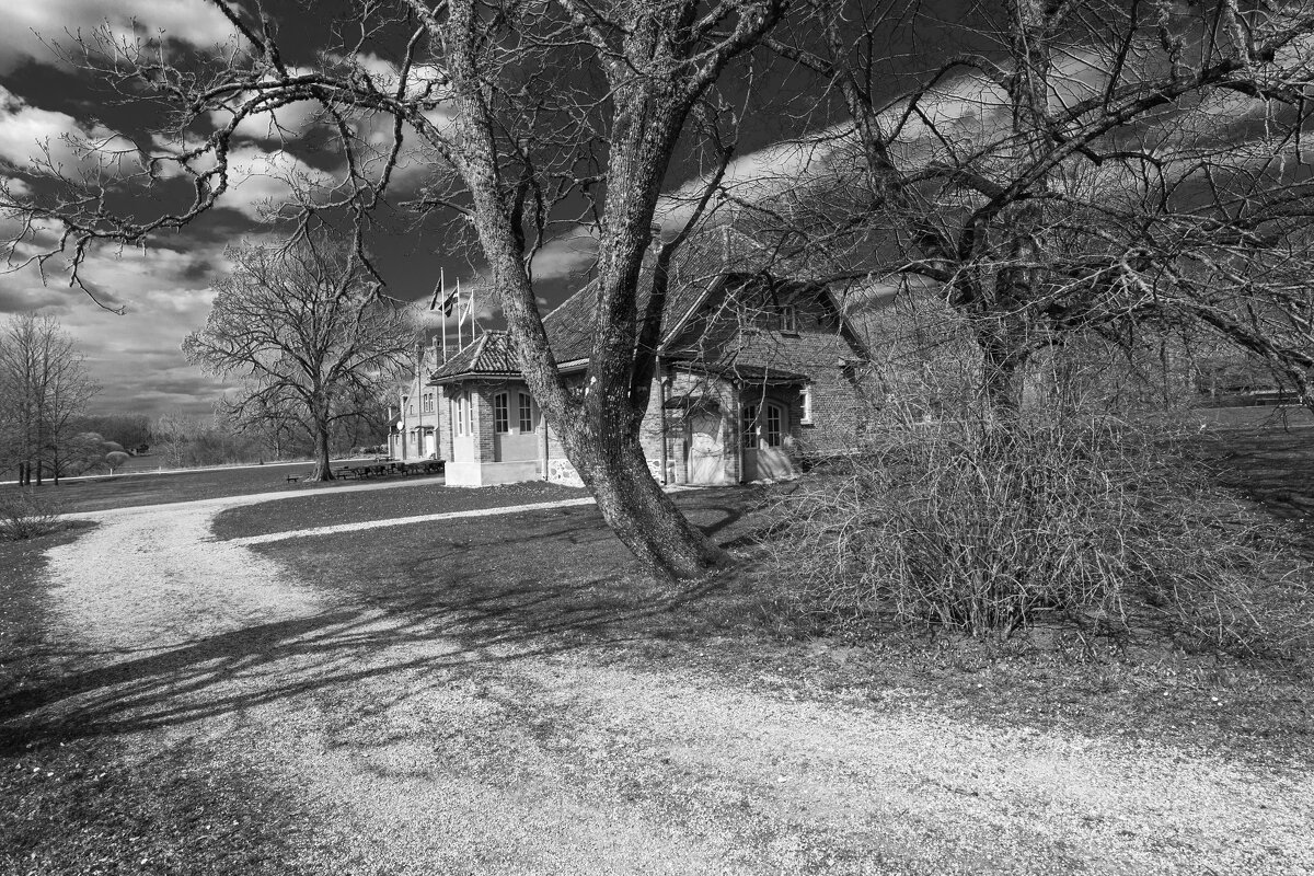 *** - Геннадий Порохов