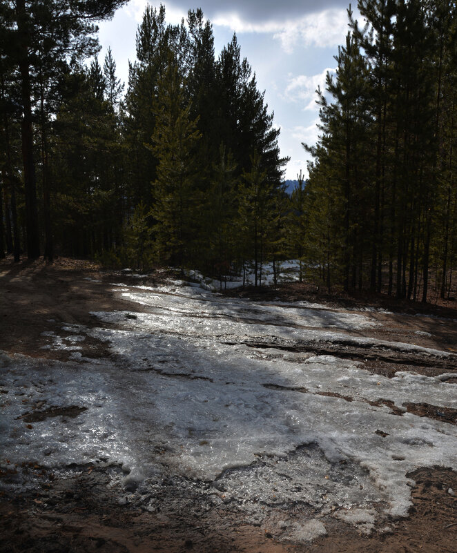 *** - Наталья Покацкая