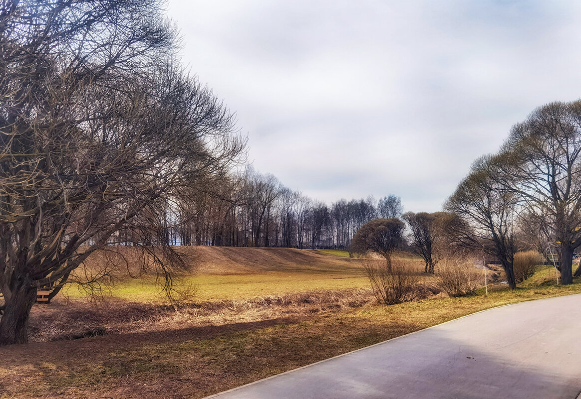 Муринский парк. СПб. - Лилия *