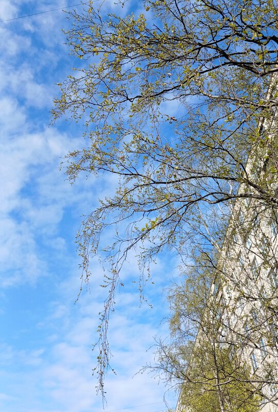 Апрель - Наталья Герасимова