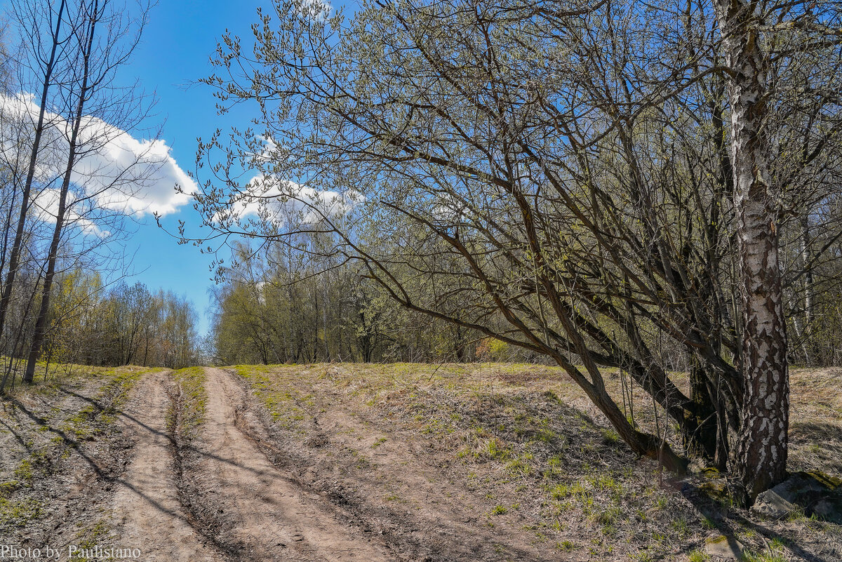 Палитра апреля... - Владимир Жданов