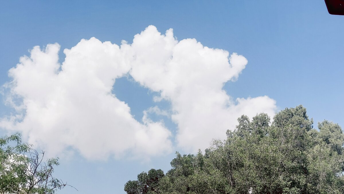 14  КЛОС (132) - CLOSE WAYS ALL