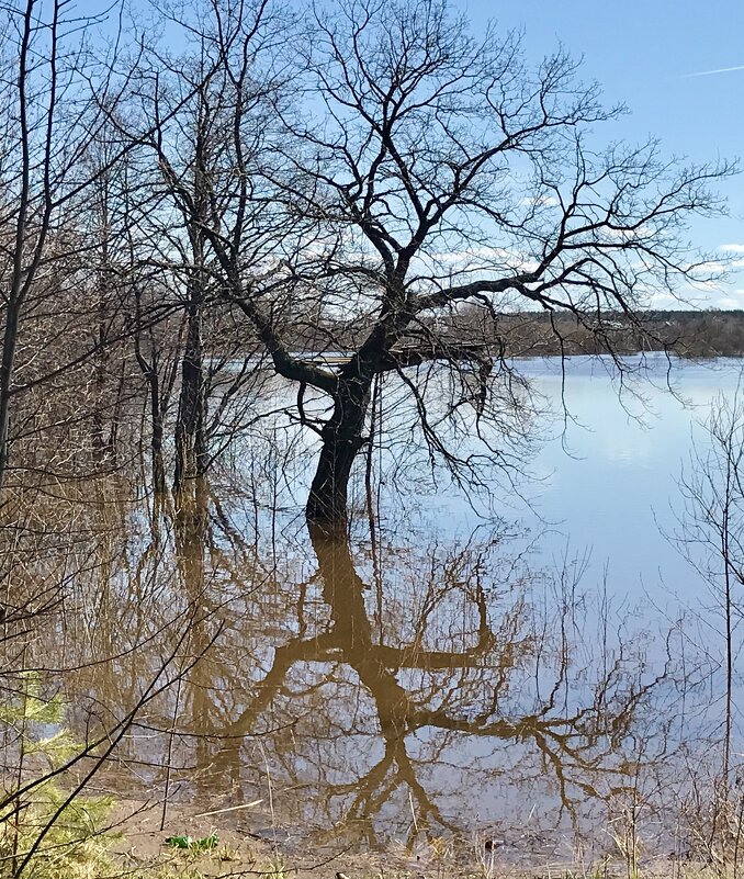 Большая вода - Татьяна 