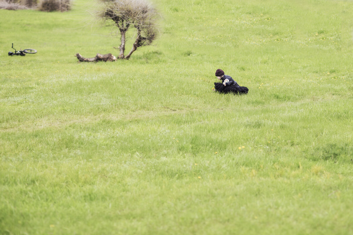 первые цветы - Olga 