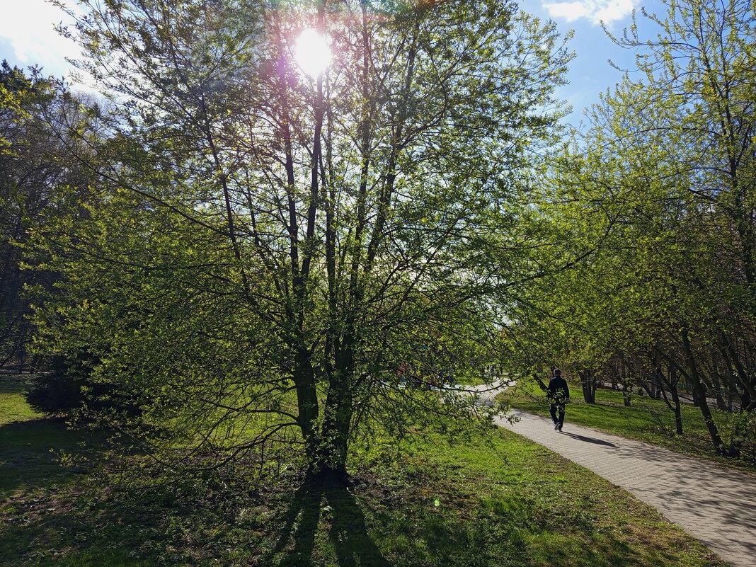 Мои всё ещё апрельские тезисы - Андрей Лукьянов