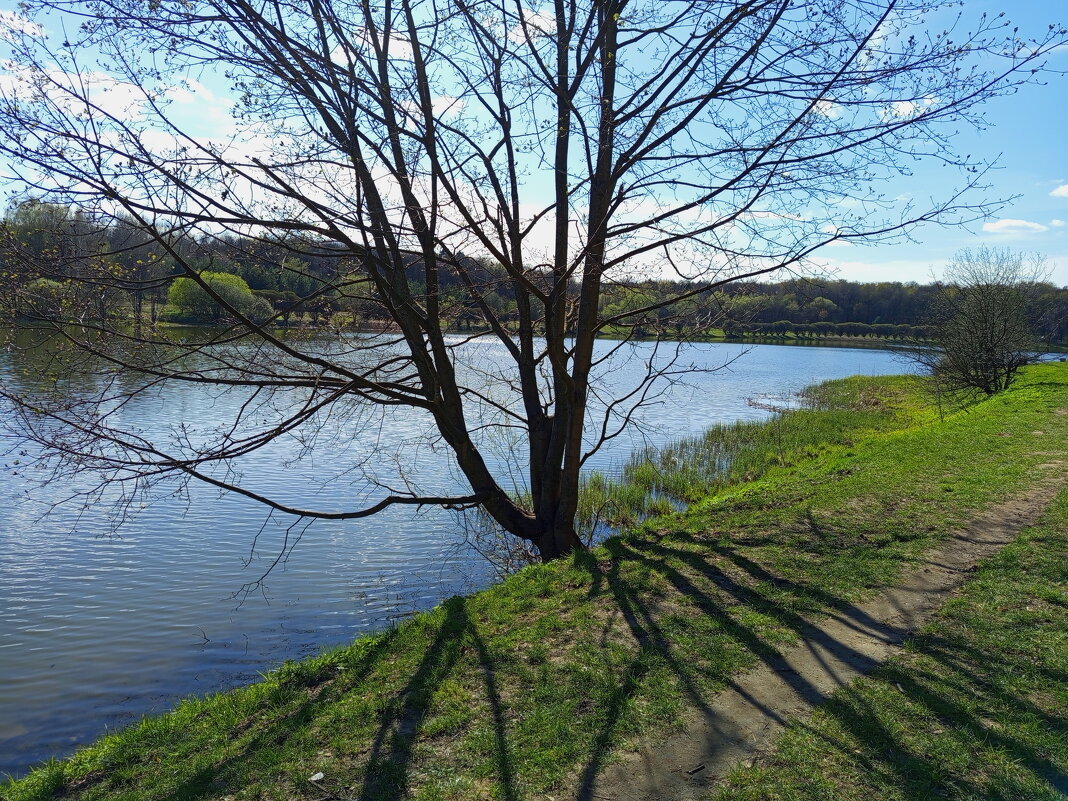 Мои всё ещё апрельские тезисы - Андрей Лукьянов