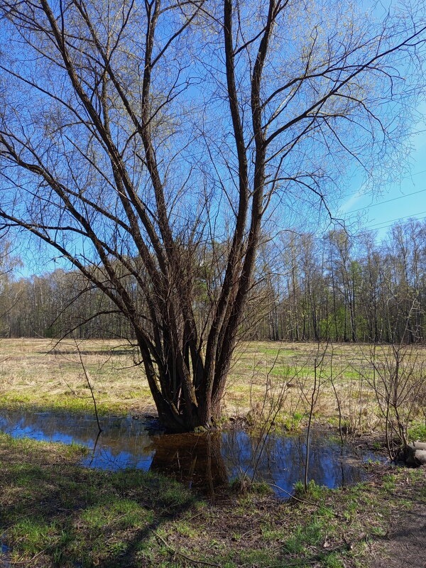 Мои всё ещё апрельские тезисы - Андрей Лукьянов