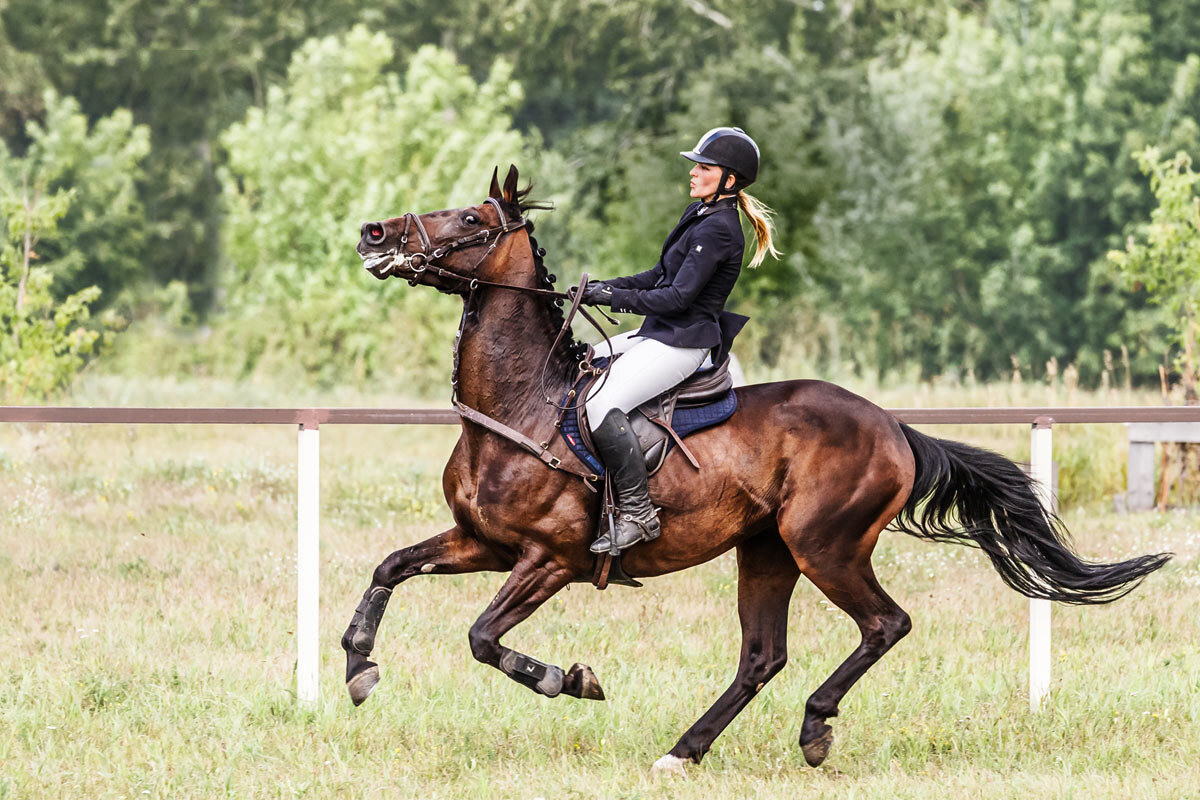 Конкур - SanSan 