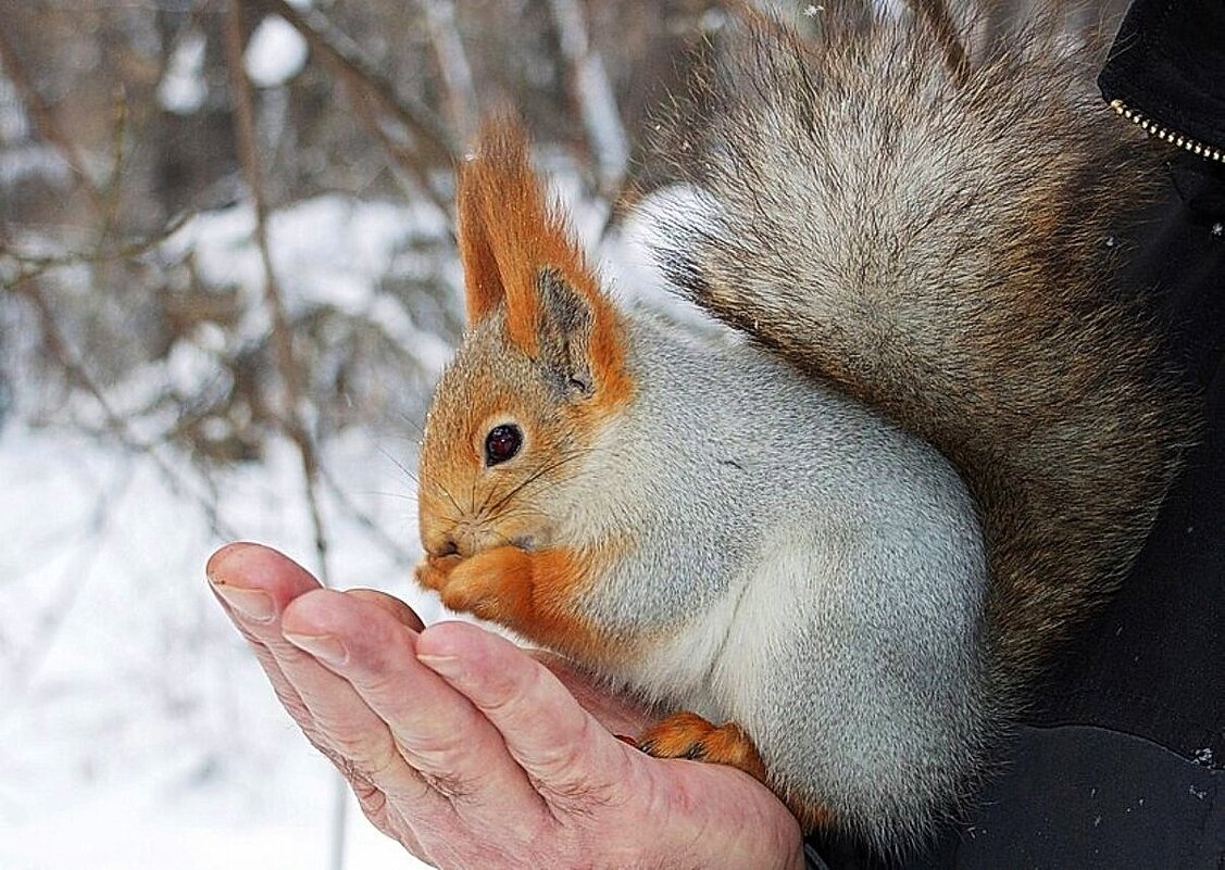 Добрые руки - Галина Нестратова