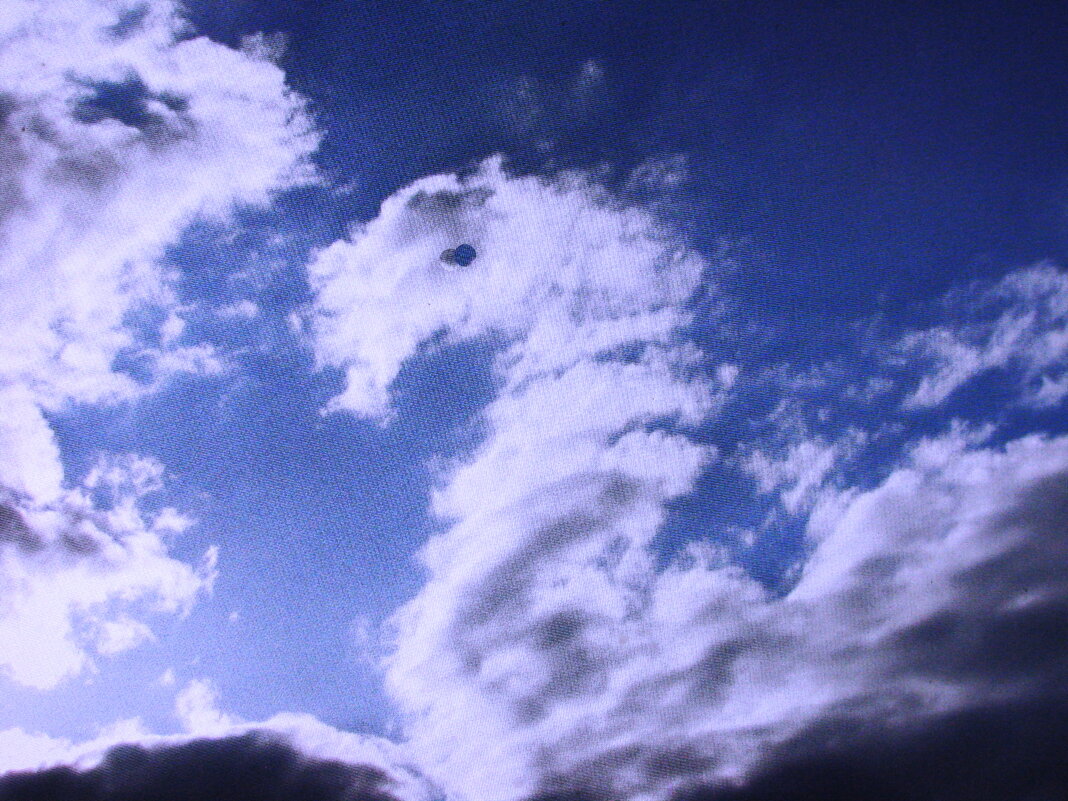 Летящее чудо - Людмила Смородинская