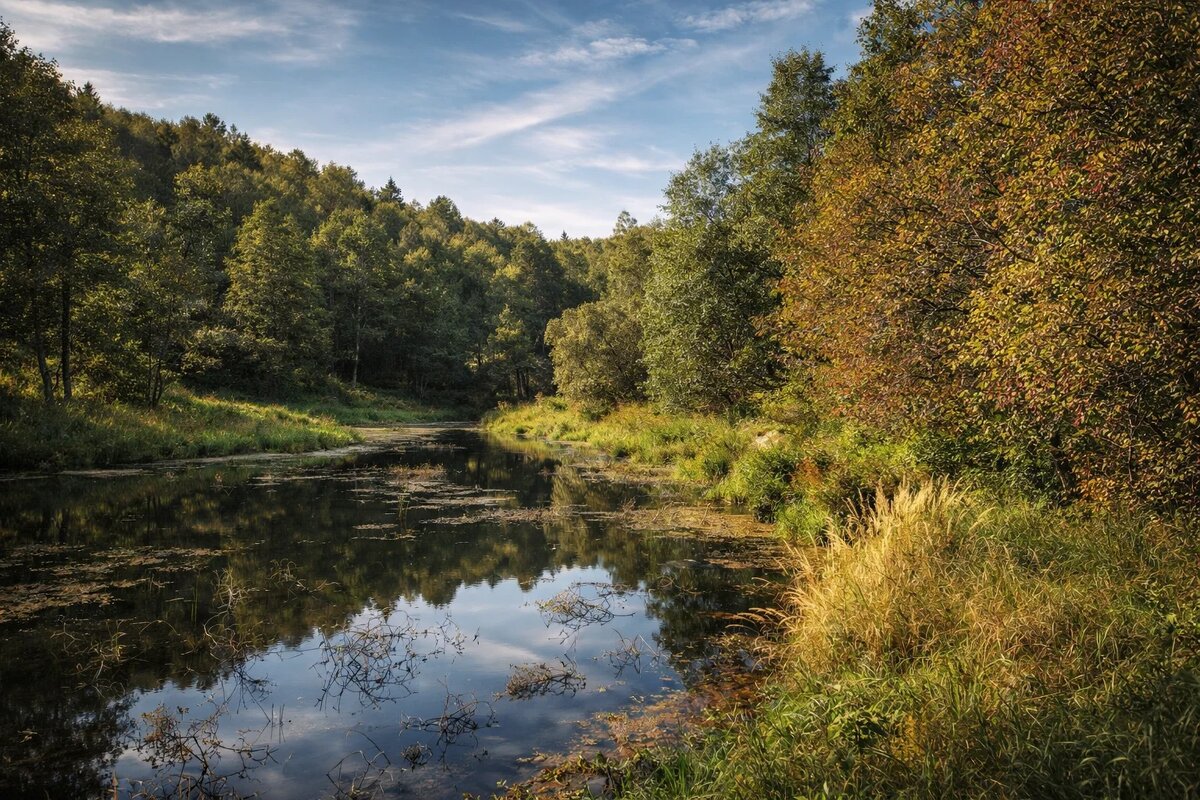 Ярославская облась / Река Нерль - Денис Бочкарёв