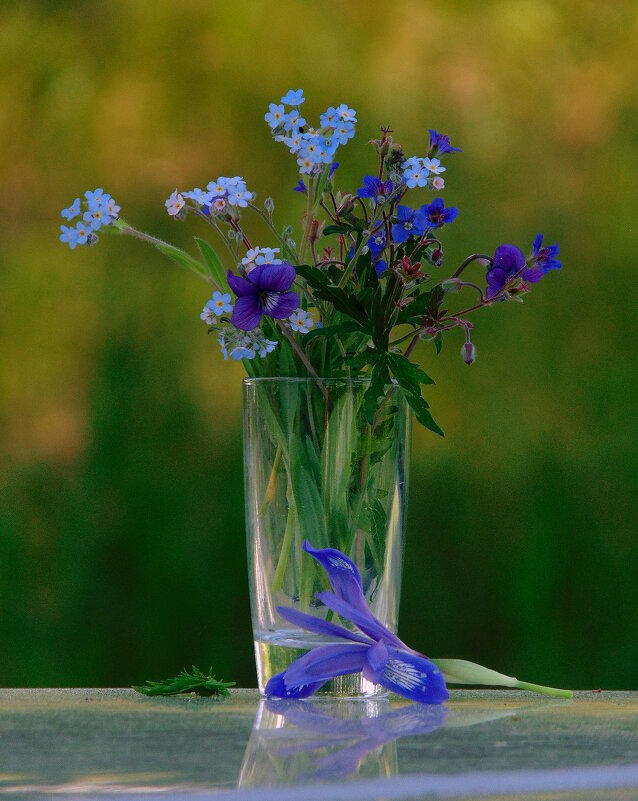 Полевые цветы. - nadyasilyuk Вознюк