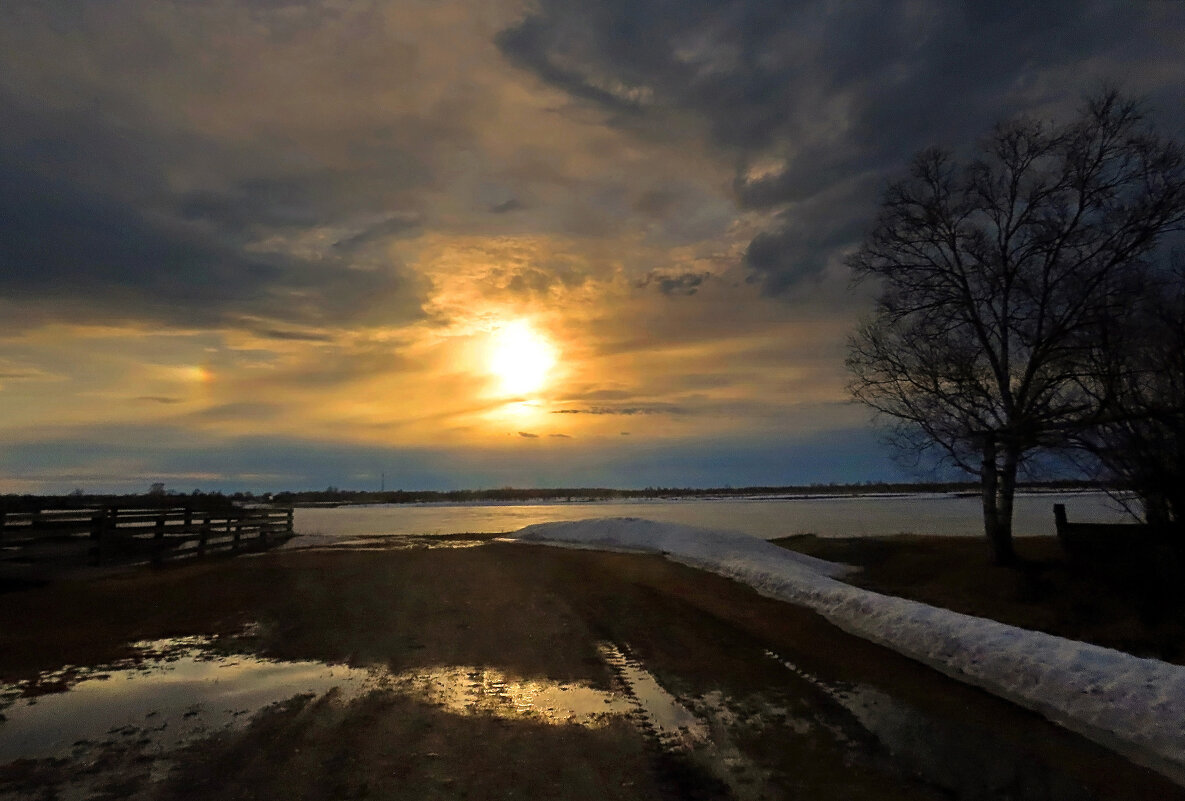 Весенний вечер - Valentina K