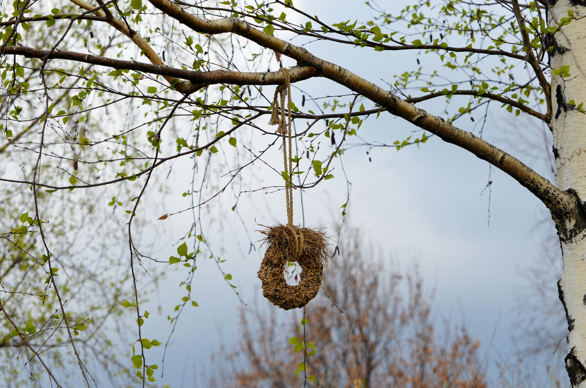 Москва. Весна в парке "Зарядье". - Наташа *****