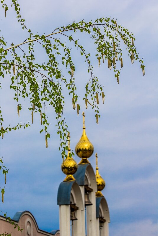 Про весну ... - Ravile 