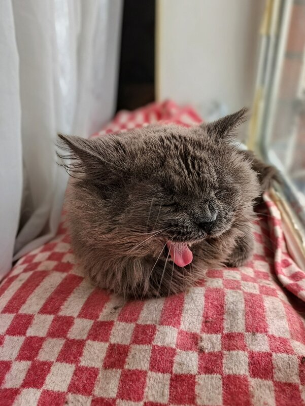 С добрым утром - Михаил Столяров