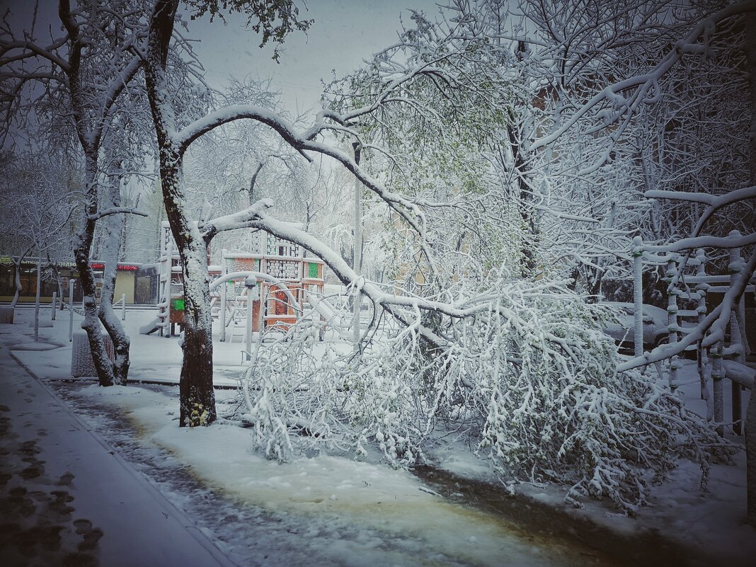27 апреля 2026.. - Алексей Архипов