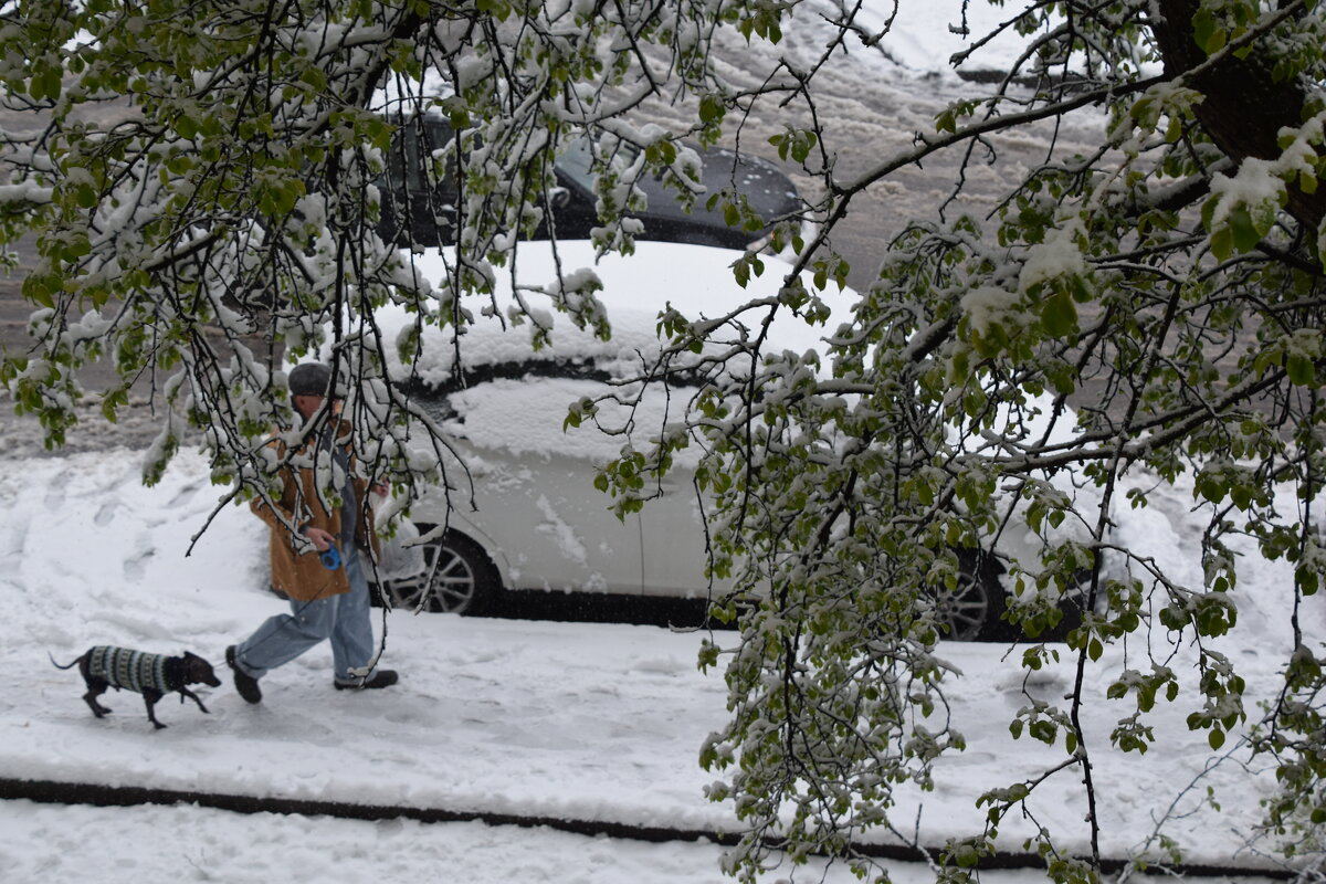 27-ое апреля - Олег 