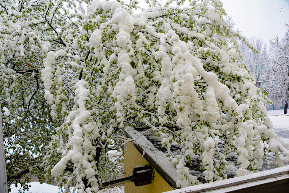 Зима заглянула на ...? - Олег 