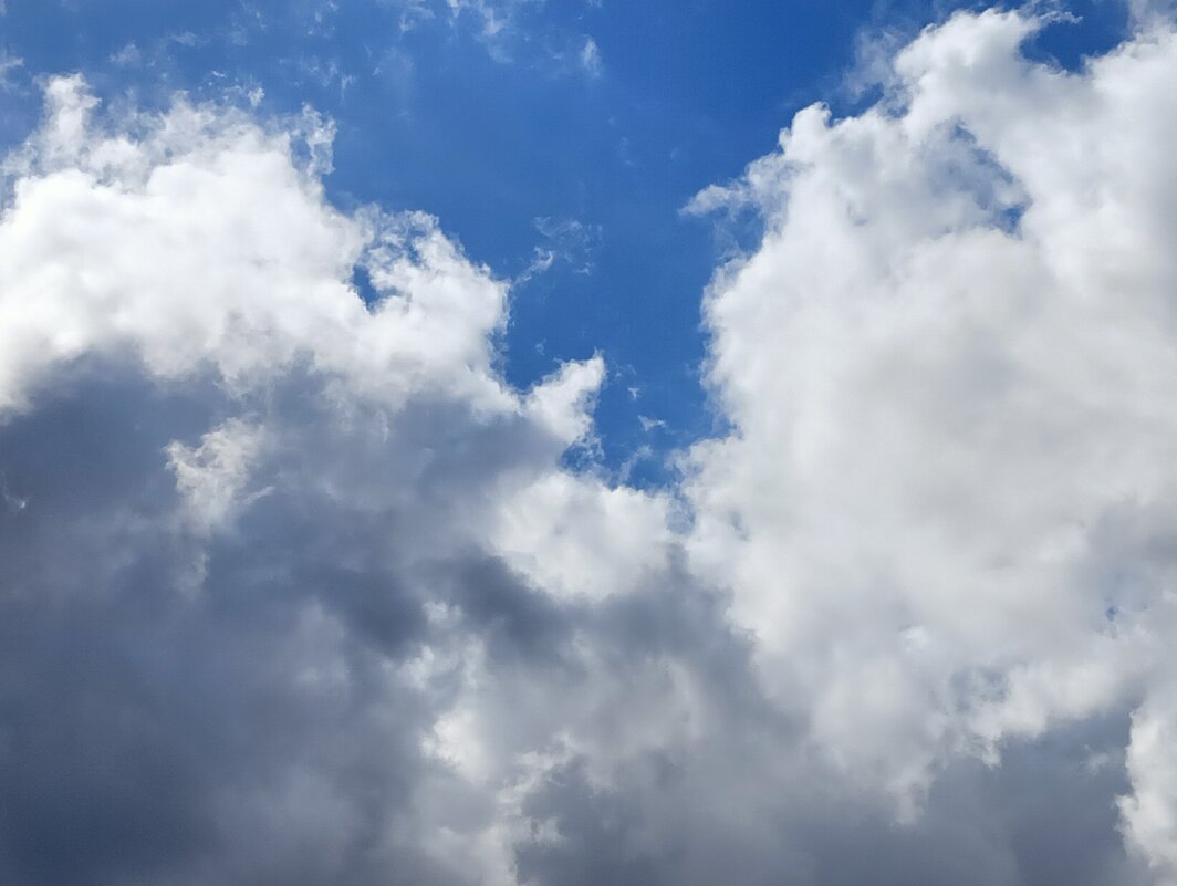 секретики - Владимир 