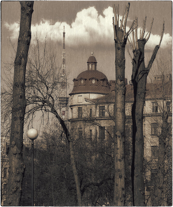 My magic Petersburg_01243_угол Кронверкской и Б. Пушкарской - Станислав Лебединский