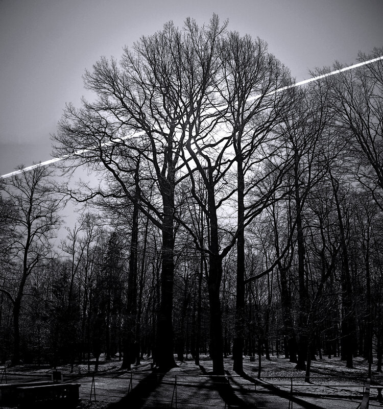 *** - Сергей Григорьев