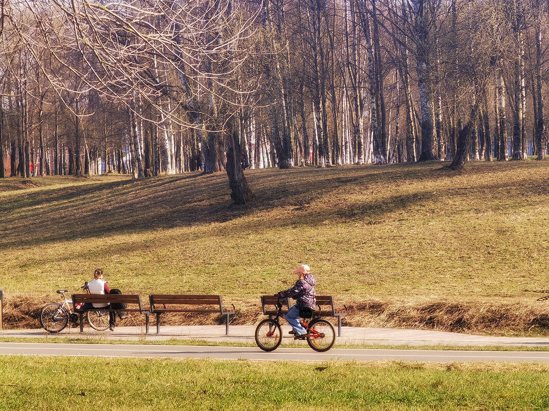 Велодорожки в парке не пустуют! - Лилия *