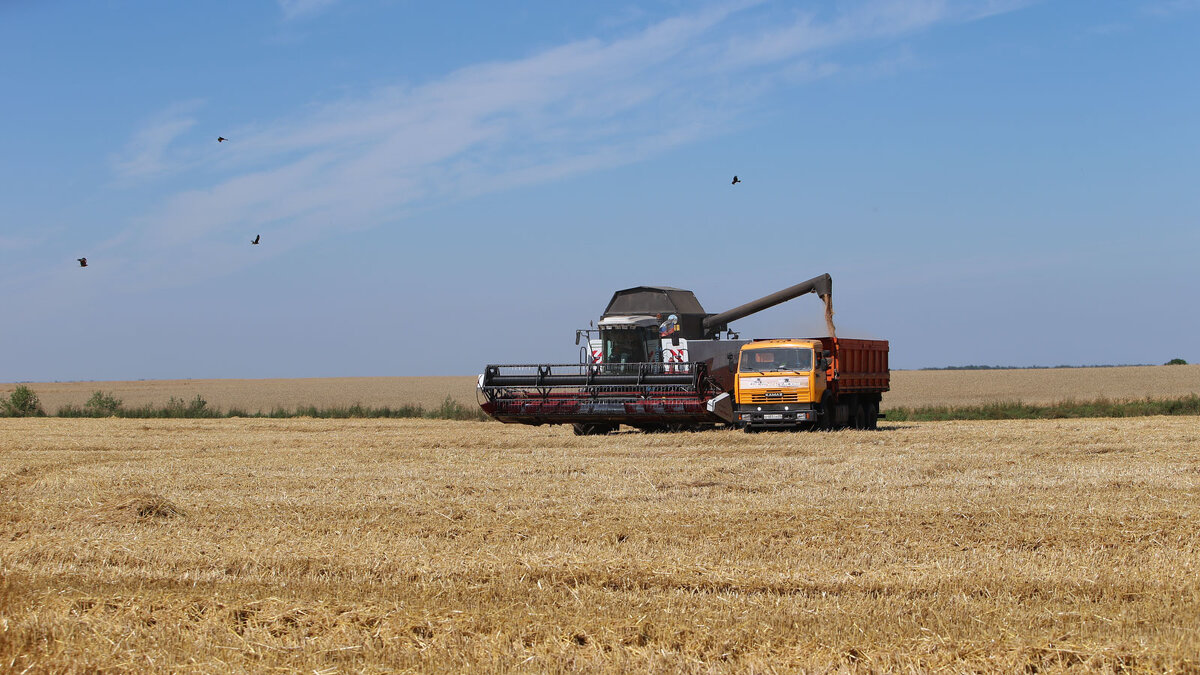 Алтай.... - владимир 