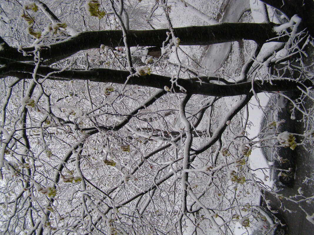 Метель 27 апреля - Анна Воробьева