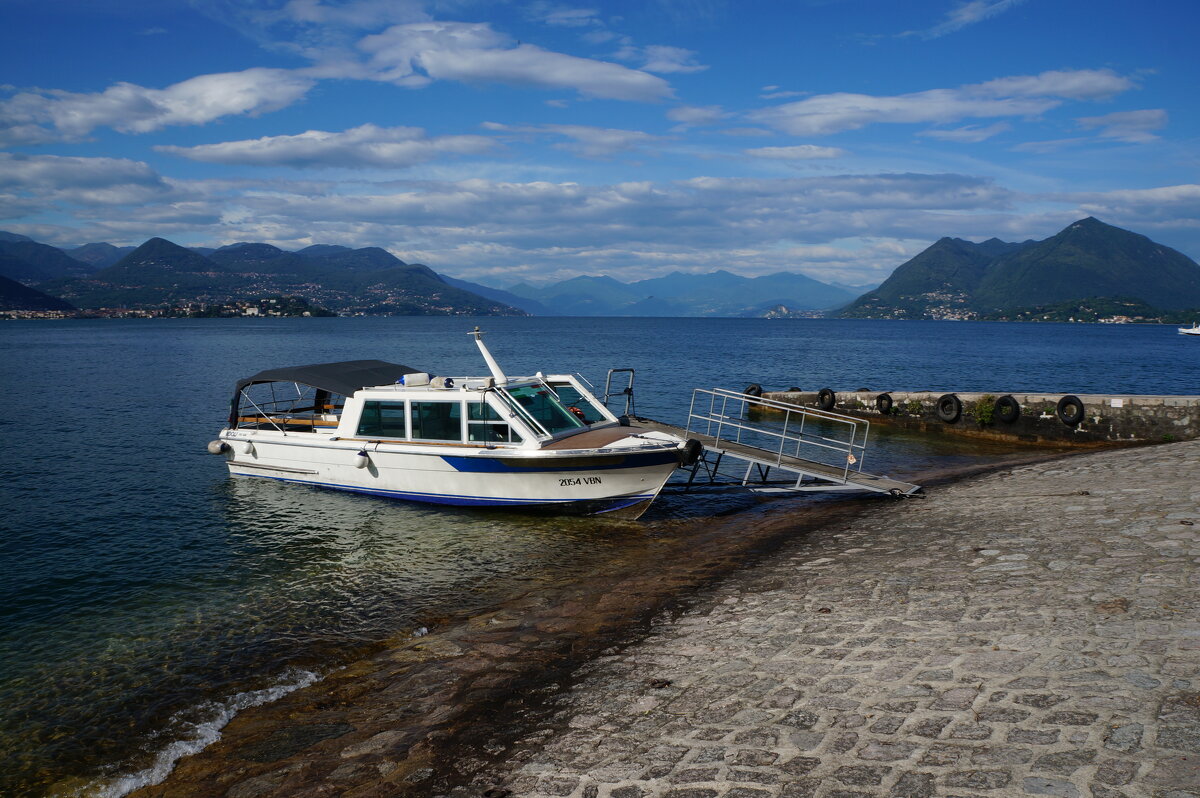 ~~~~~ - Алёна Савина