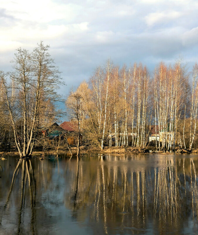 Половодье в Подмосковье - Елена 