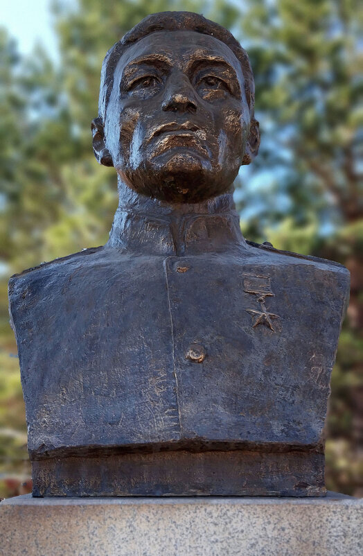 Герой!!! - Радмир Арсеньев