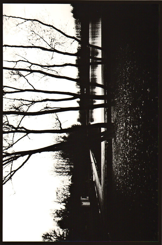 ФОТОГРАФИКА Парк - 1 - Алексей Кузнецов