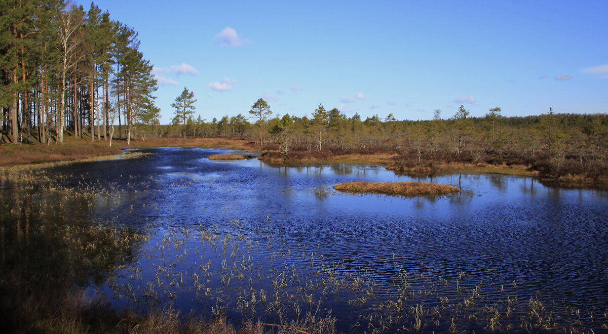 И мягкой дымкою синеет.. - Татьян@ Ивановна