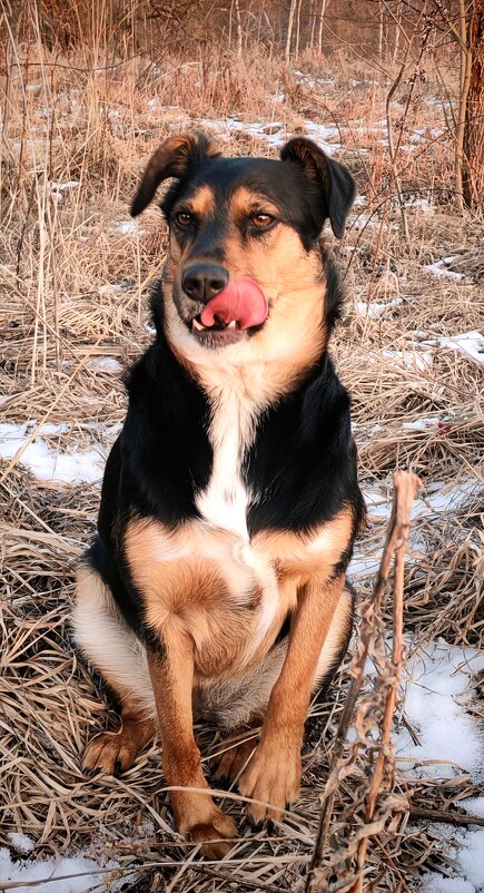 Динка - Надежда 