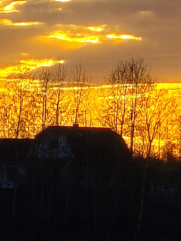 В золотом цвете - Андрей 