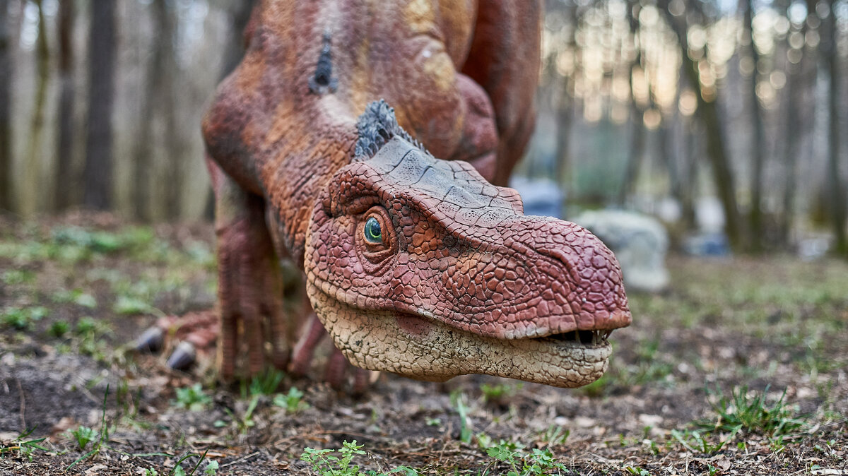 Дино Парк - Александр Леонов