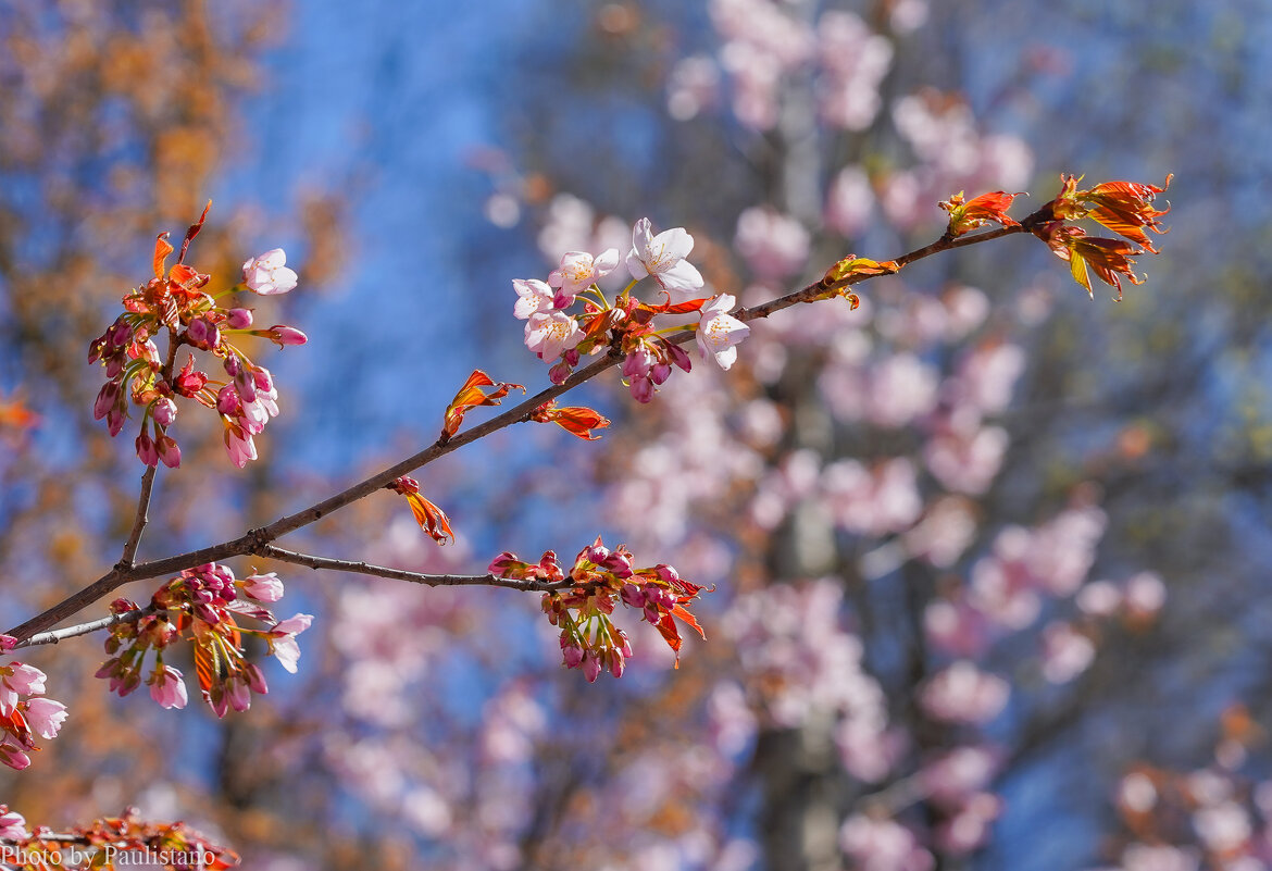 Под небом апреля... - Владимир Жданов
