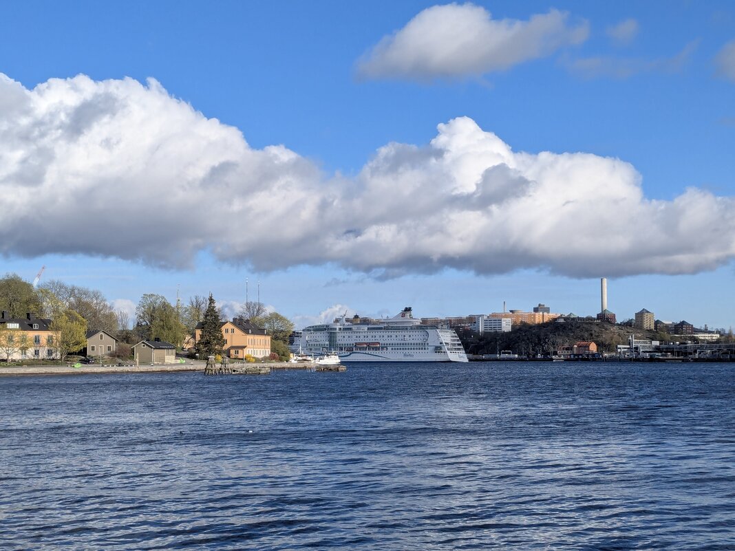 Зацепилось - liudmila drake