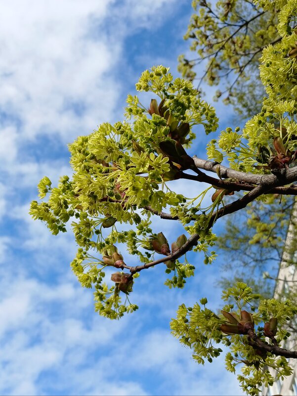Апрель - Наталья Герасимова