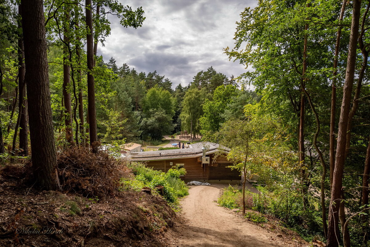 Домики отдыха... - Николай Гирш