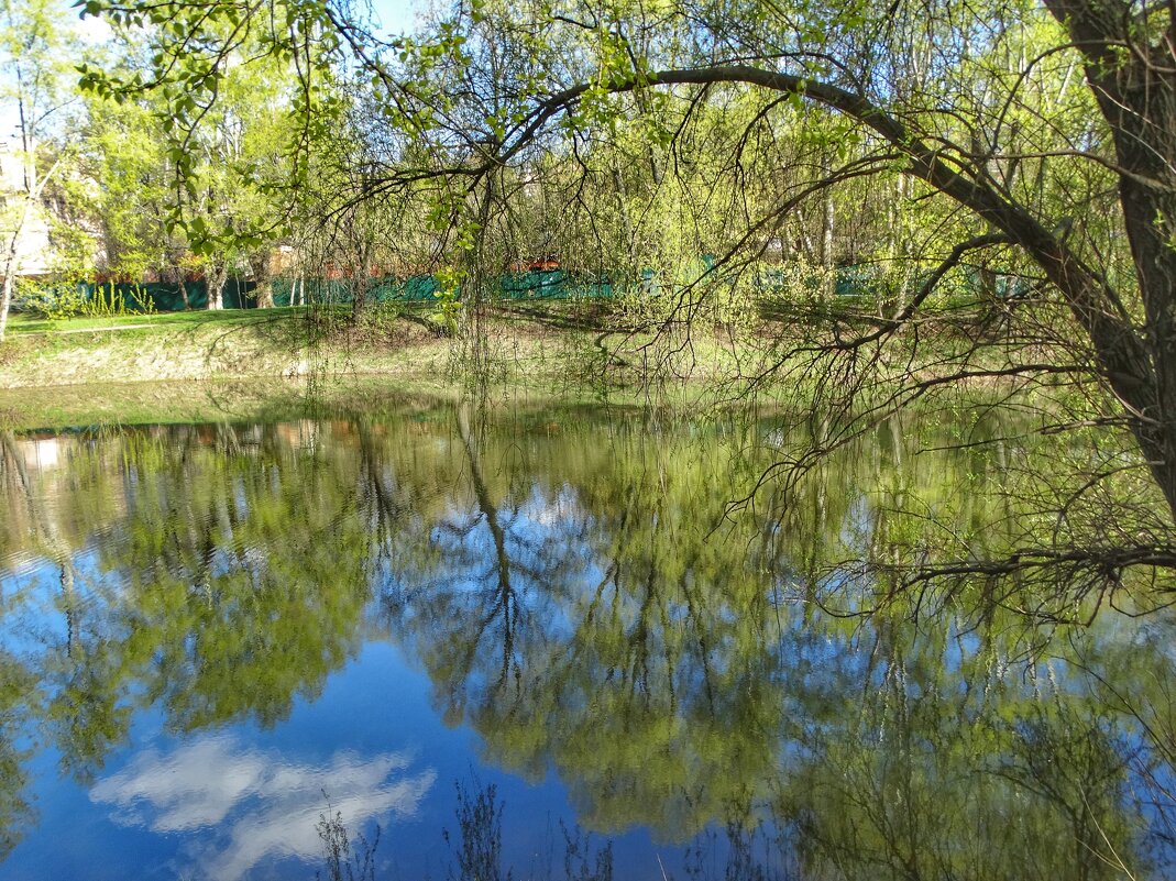 Весна в Лефортово - svk *