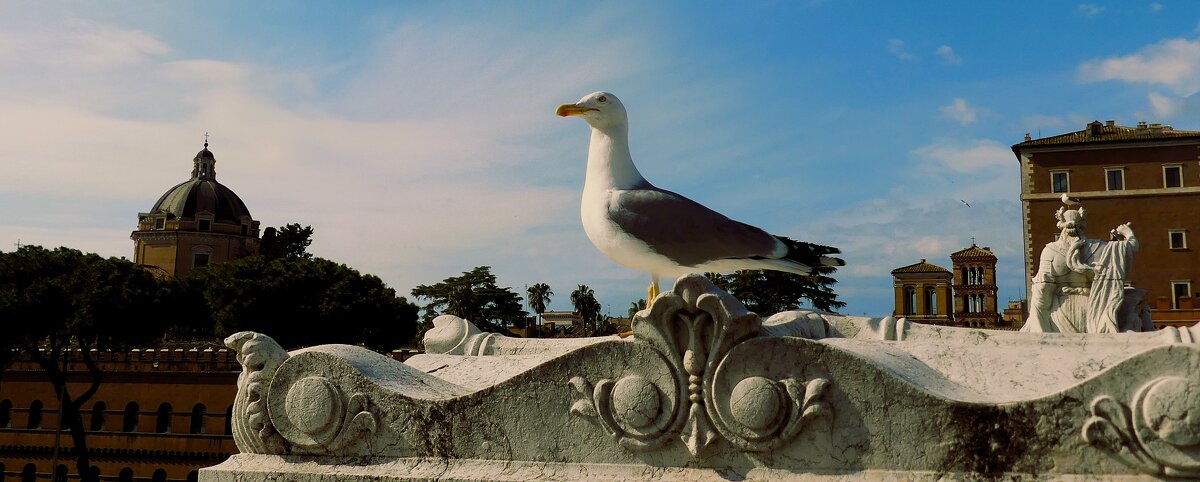 Вечный город(серия) - Владимир Манкер