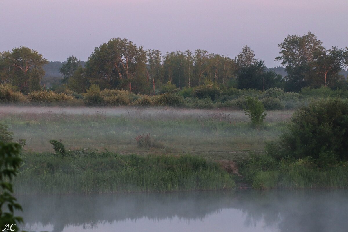 Туман над рекой (серия) - Любовь Сахарова