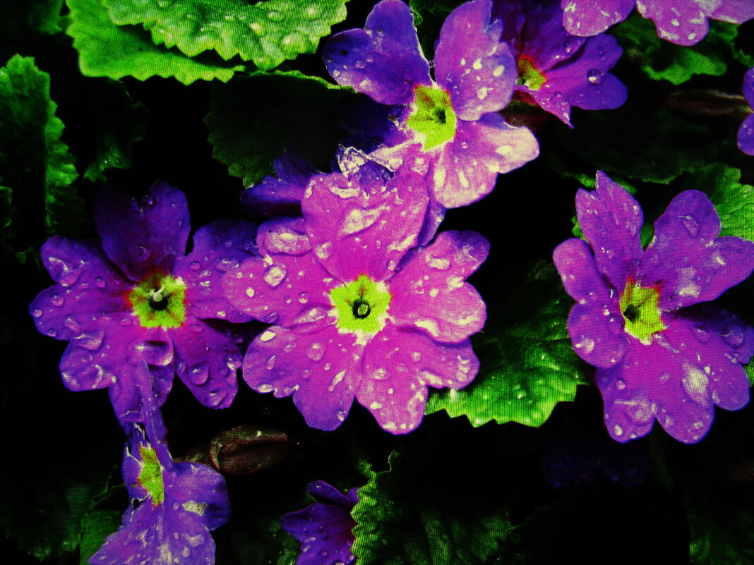 Красота - Людмила Смородинская