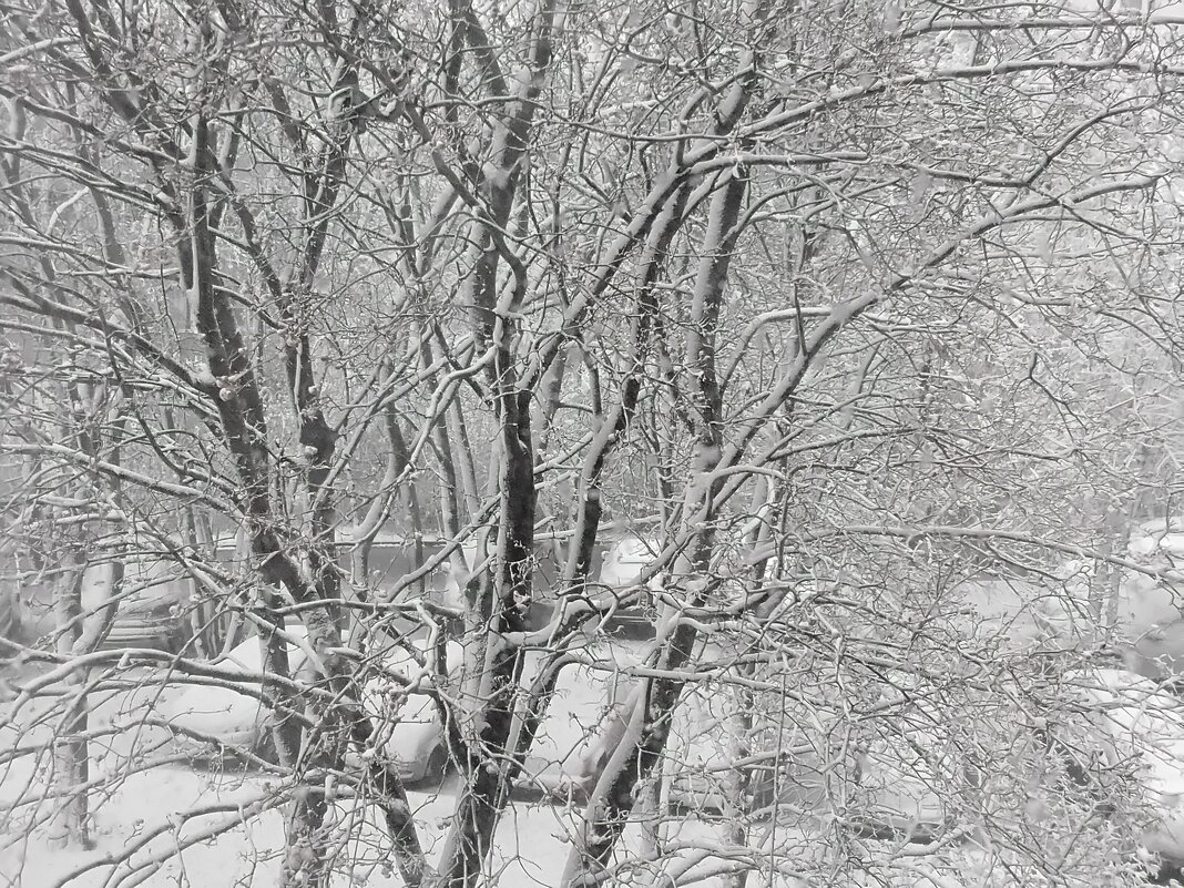Зима в апреле - Дмитрий Никитин