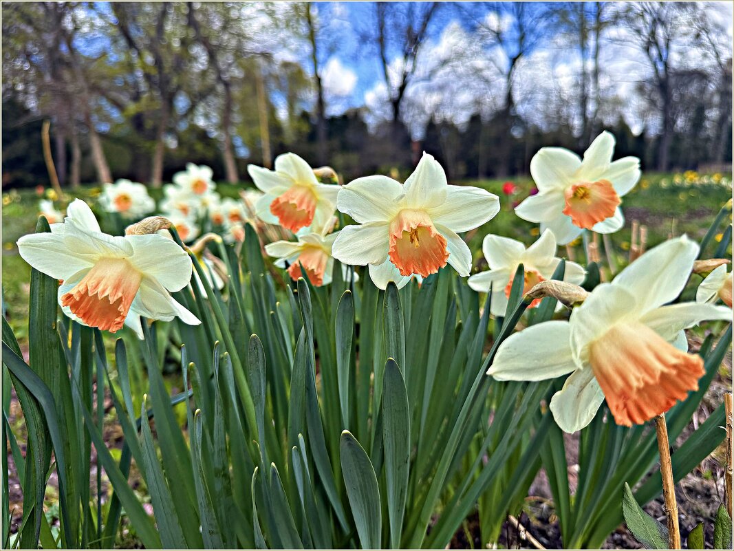 ******** - Валерия Комова