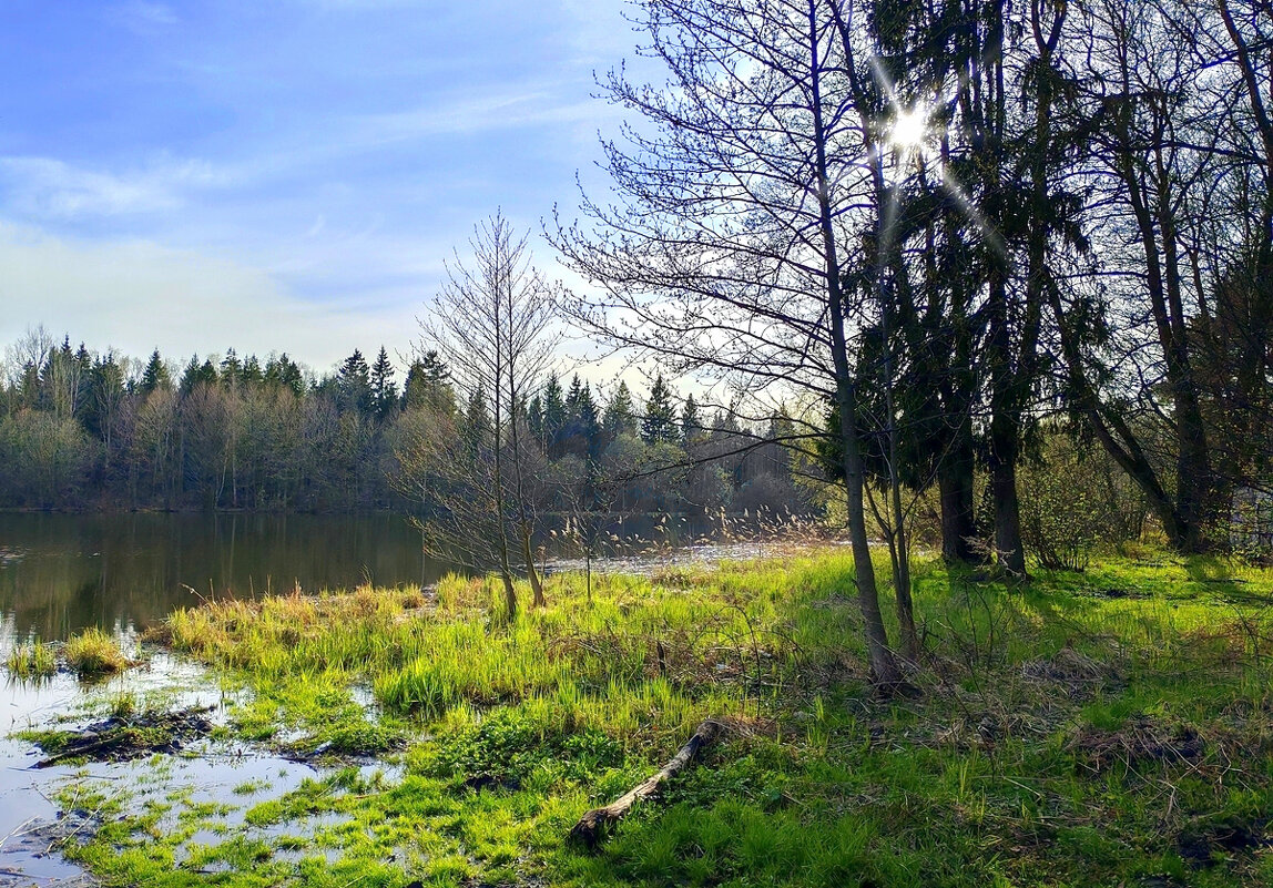 Однажды в апреле - Вячеслав Минаев