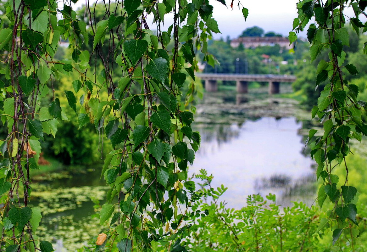 Река Кашинка. Кашин - Анастасия Смирнова